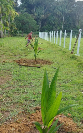 Imagem Chácara à Venda, 1.000 m²em Paricatuba - Iranduba