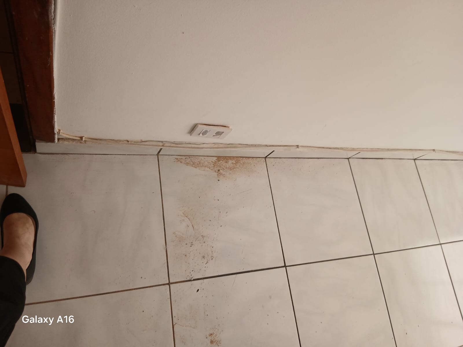 Imagem Sala Comercial para Alugar, 25 m² em Santana - São Paulo Imagem Sala Comercial para Alugar, 25 m² em Santana - São Paulo