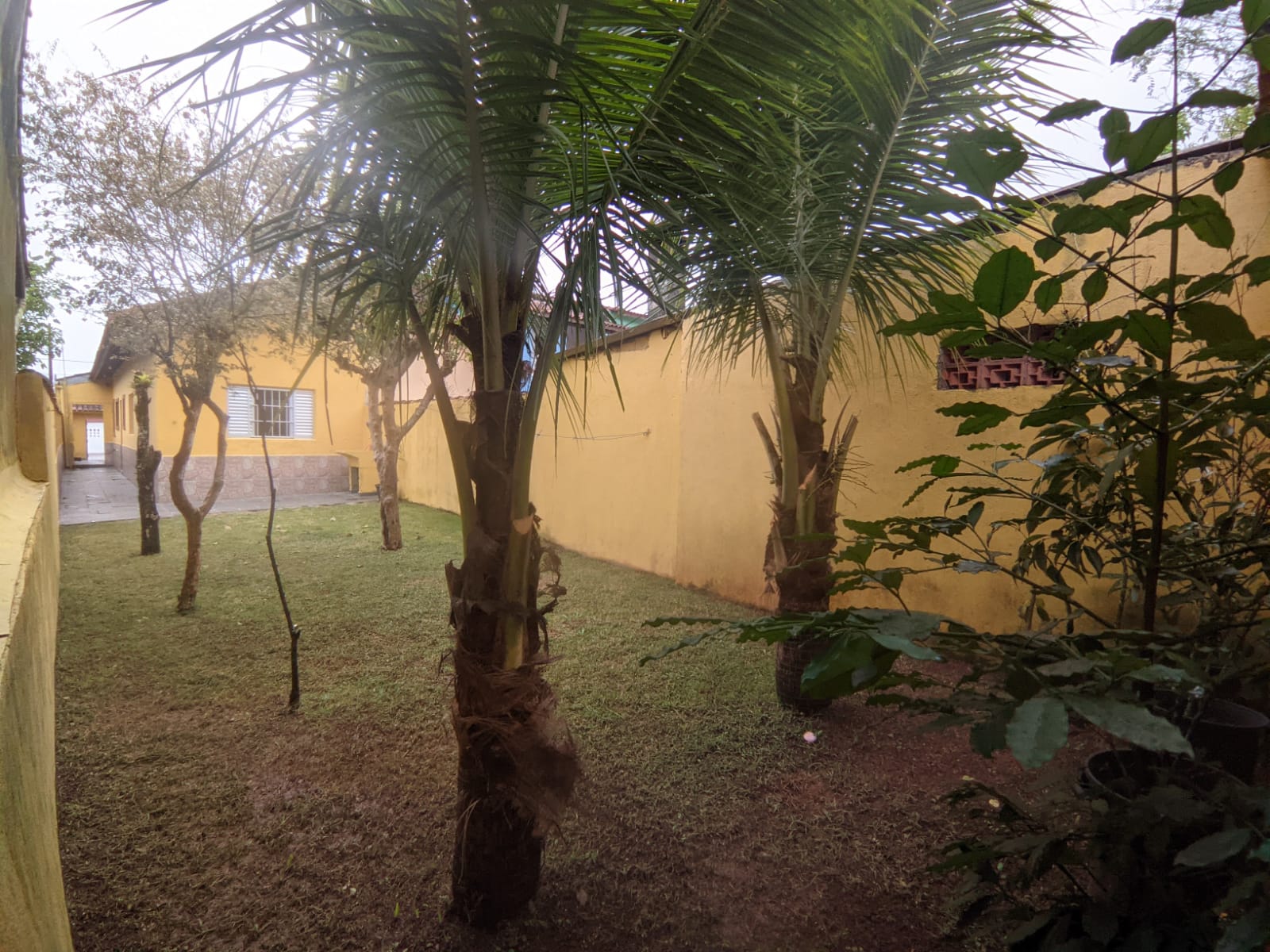 Imagem Casa com 2 Quartos à Venda, 60 m²em Balneário Flórida Mirim - Mongaguá Imagem Casa com 2 Quartos à Venda, 60 m²em Balneário Flórida Mirim - Mongaguá