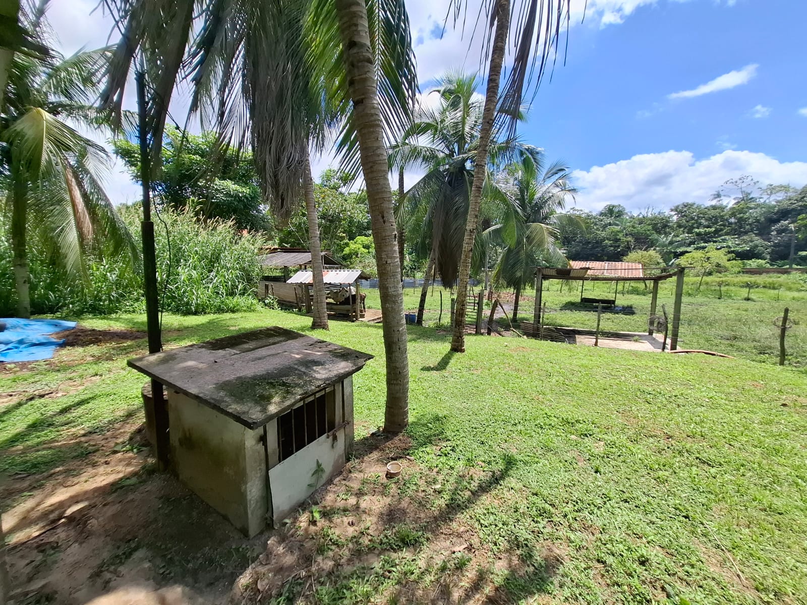 Imagem Chácara com 3 Quartos à Venda, 280 m² em Coqueiro - São Luís