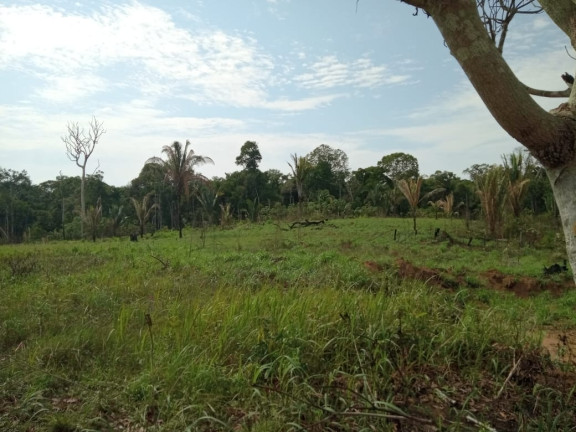 Terreno à Venda, 2.000 m² em Zona Rural - Humaitá