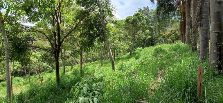 Imagem Terreno à Venda, 450.000 m² em Área Rural de Itabirito - Itabirito Imagem Terreno à Venda, 450.000 m² em Área Rural de Itabirito - Itabirito