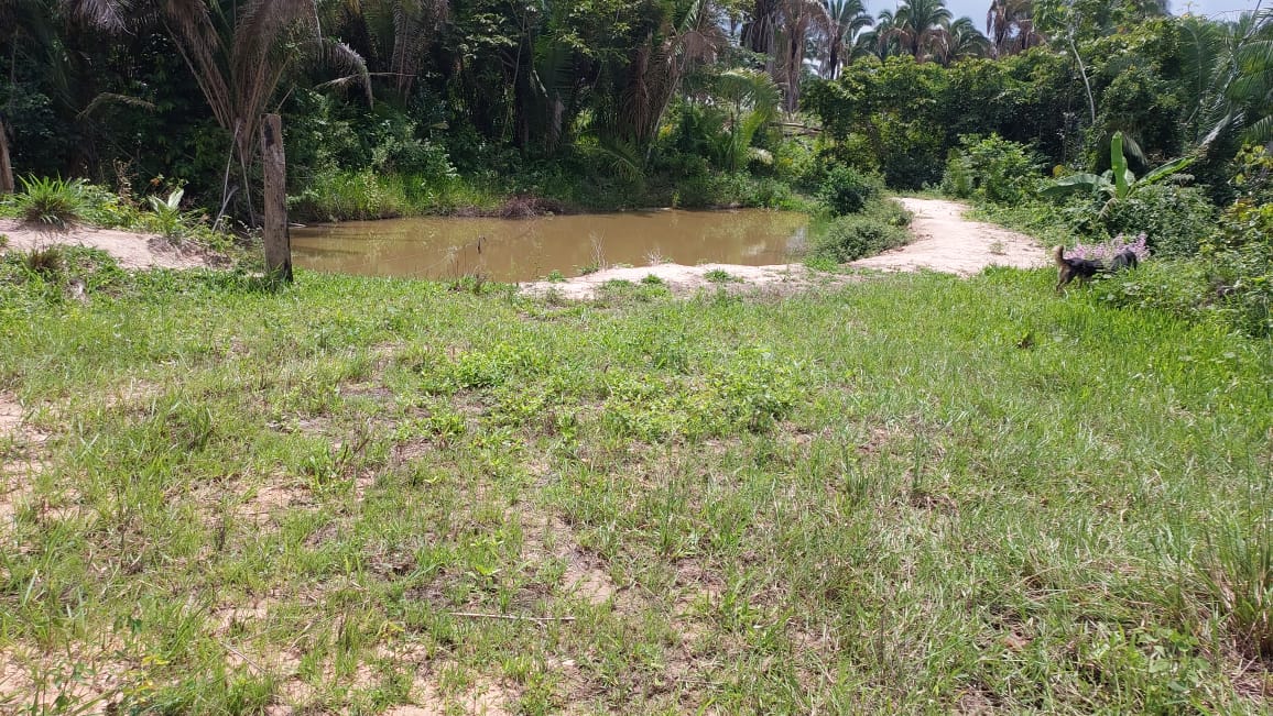 Imagem Fazenda à Venda, 9 Alq MGem Nova Marabá - Marabá Imagem Fazenda à Venda, 9 Alq MGem Nova Marabá - Marabá