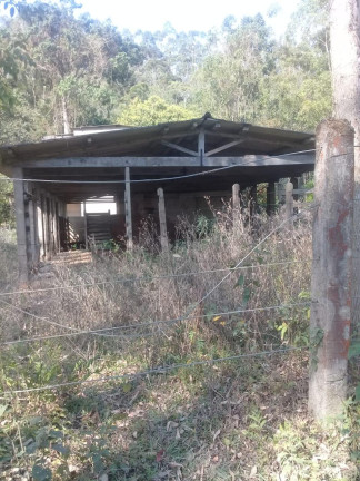 Imagem Terreno à Venda, 123.000 m² em Zona Rural - Santa Bárbara do Tugúrio Imagem Terreno à Venda, 123.000 m² em Zona Rural - Santa Bárbara do Tugúrio