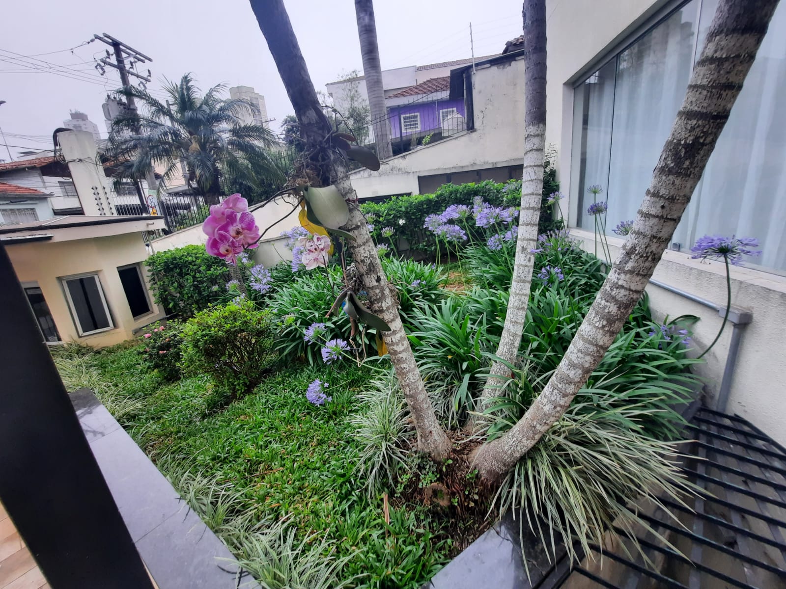 Imagem Apartamento com 2 Quartos à Venda, 55 m²em Vila Nivi - São Paulo