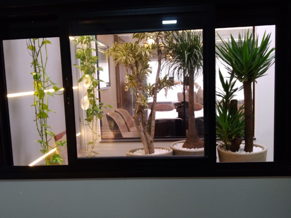 Imagem Casa com 3 Quartos à Venda, 250 m² em Jardim Stella - Santo André