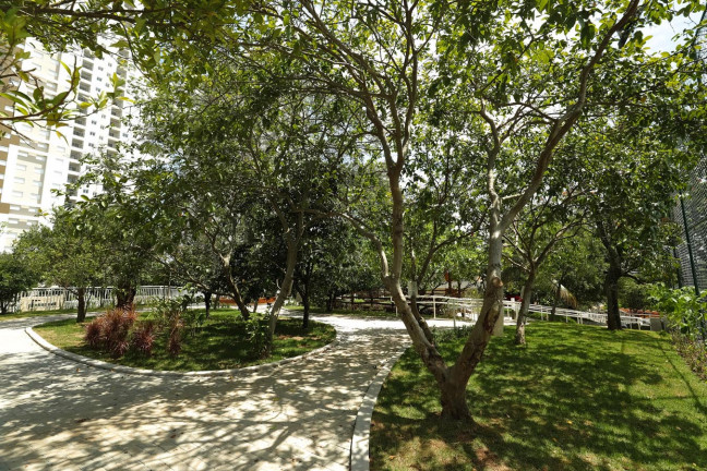 Imagem Apartamento com 2 Quartos à Venda, 60 m² em Vila Penteado - São Paulo Imagem Apartamento com 2 Quartos à Venda, 60 m² em Vila Penteado - São Paulo