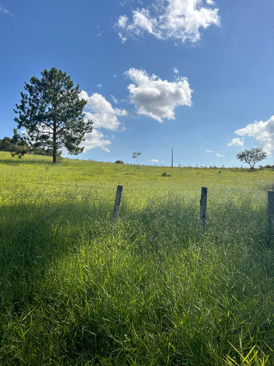 Imagem Terreno em Condomínio à Venda ou Locação, 500 m²em recreio verava - Ibiúna Imagem Terreno em Condomínio à Venda ou Locação, 500 m²em recreio verava - Ibiúna