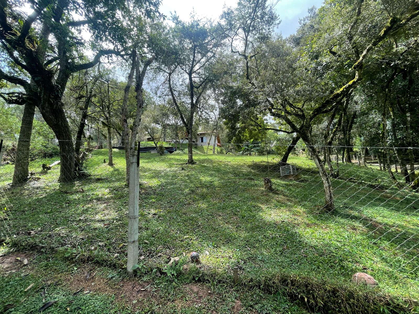 Imagem Chácara com 3 Quartos à Venda, 6.800 m² em Salgadinho - Campo Largo