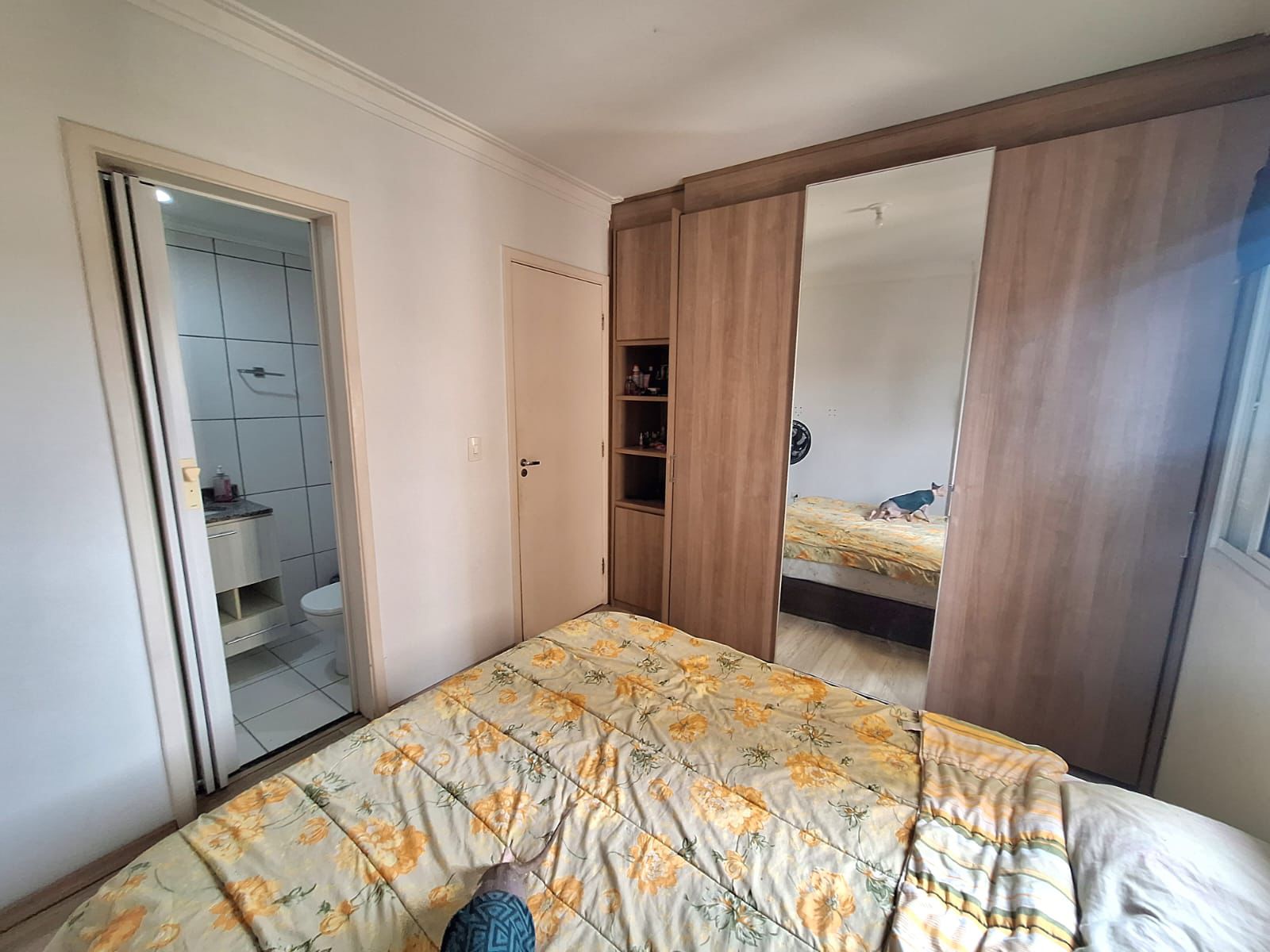 Imagem Apartamento com 3 Quartos à Venda ou Locação, 74 m² em Vila das Mercês - São Paulo