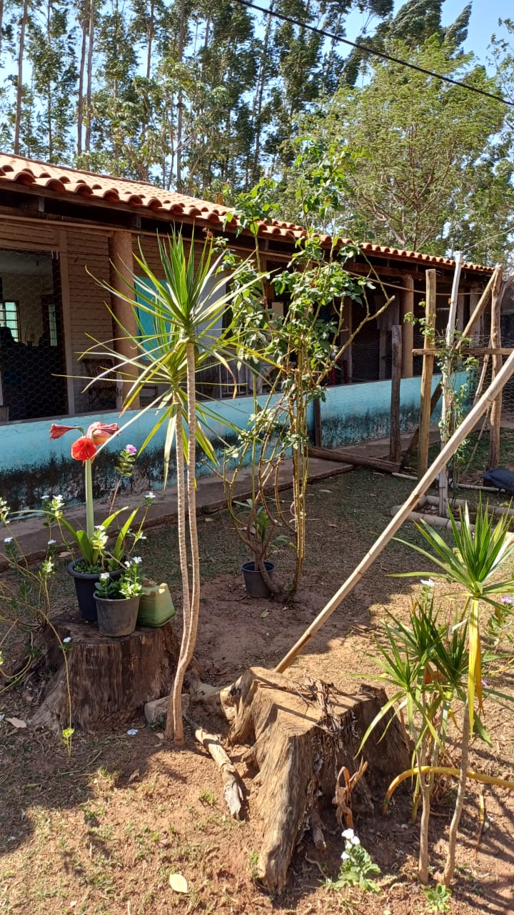 Imagem Chácara com 3 Quartos à Venda, 100 m²em Bom Jesus  - Uberlândia
