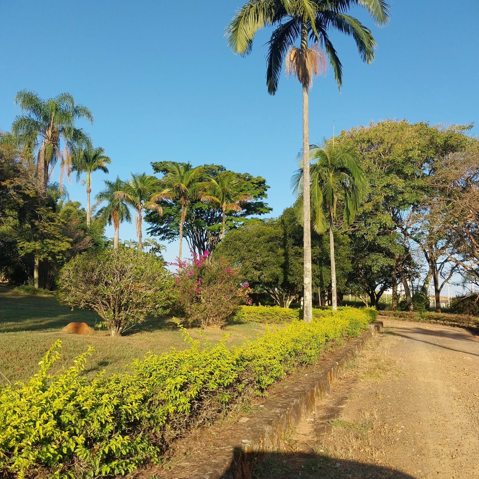 Imagem Terreno em Condomínio à Venda, 250 m²em Colinas do Castelo - Jaguariúna Imagem Terreno em Condomínio à Venda, 250 m²em Colinas do Castelo - Jaguariúna