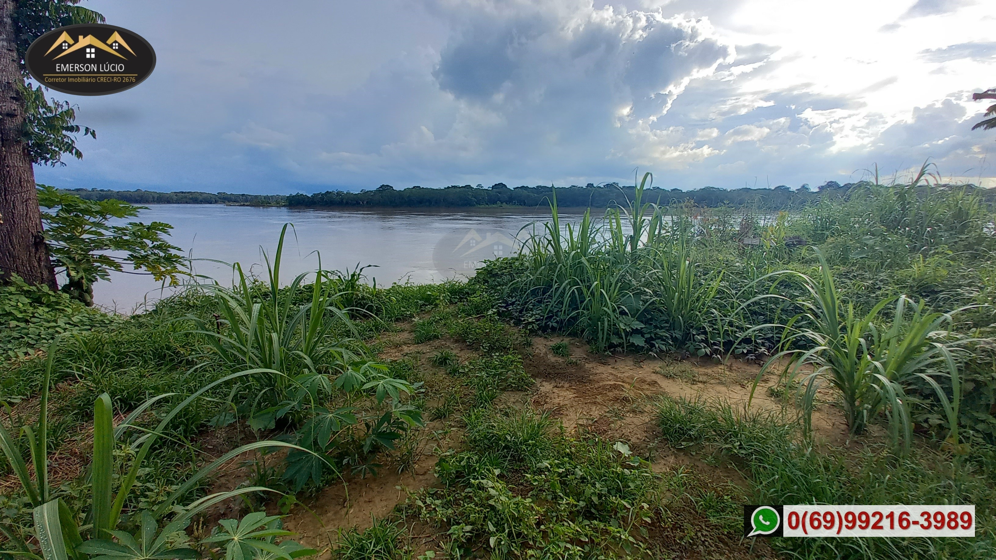 Imagem Fazenda à Venda, 50 HAem Rio Madeira - Porto Velho