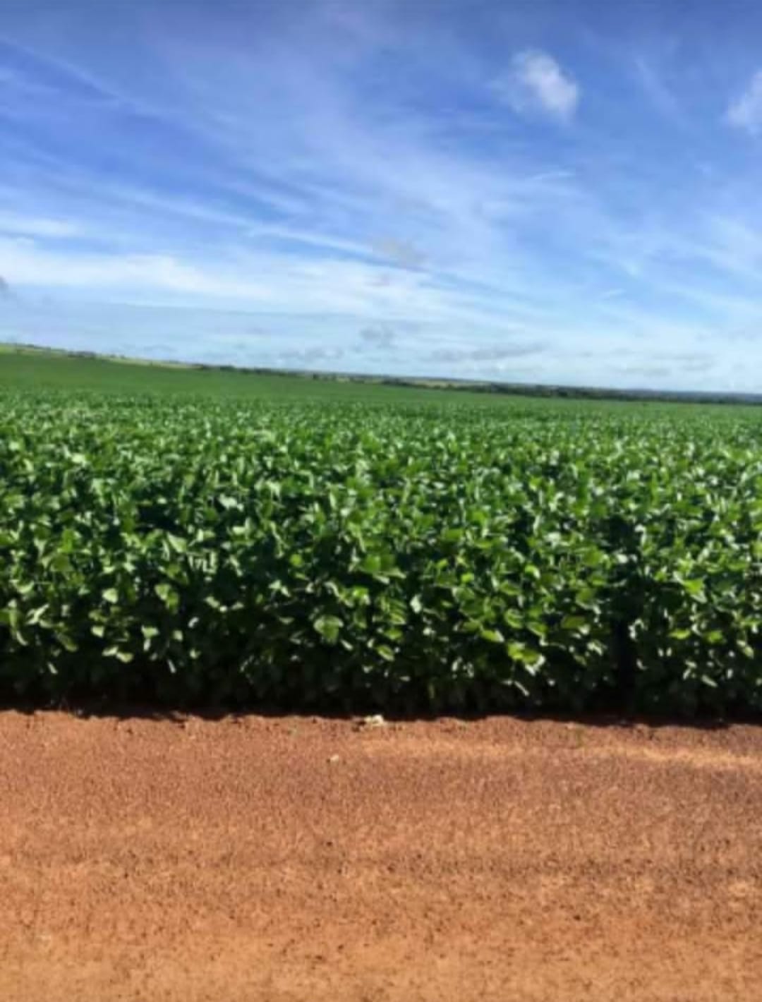 Imagem Imóvel à Venda, em Zona Rural - Confresa Imagem Imóvel à Venda, em Zona Rural - Confresa