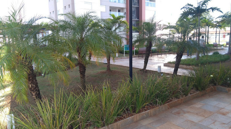 Imagem Apartamento com 3 Quartos para Alugar,  em Jardim Aquárius - Limeira