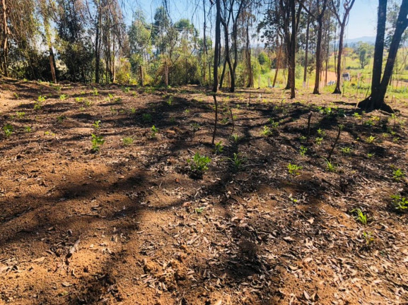 Imagem Terreno à Venda, 500 m² em verava - Ibiúna Imagem Terreno à Venda, 500 m² em verava - Ibiúna