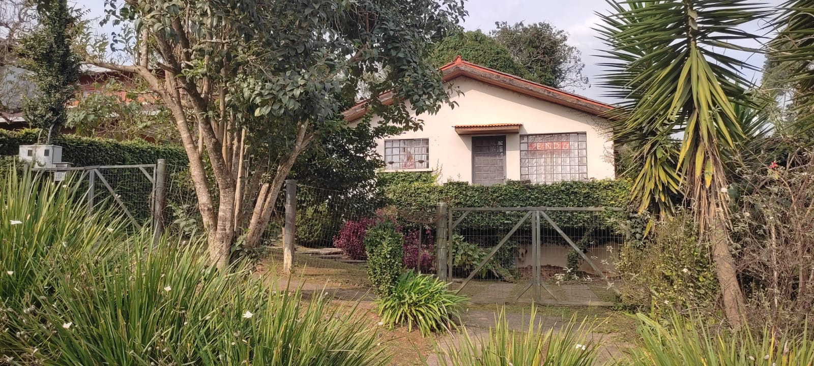 Imagem Casa com 6 Quartos à Venda, 2 m²em Vila Cubas - Tijucas do Sul Imagem Casa com 6 Quartos à Venda, 2 m²em Vila Cubas - Tijucas do Sul