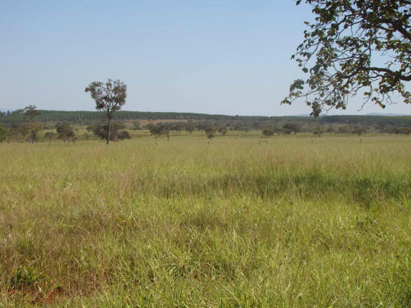 Imagem Fazenda à Venda, em zona rural - Engenheiro Navarro Imagem Fazenda à Venda, em zona rural - Engenheiro Navarro