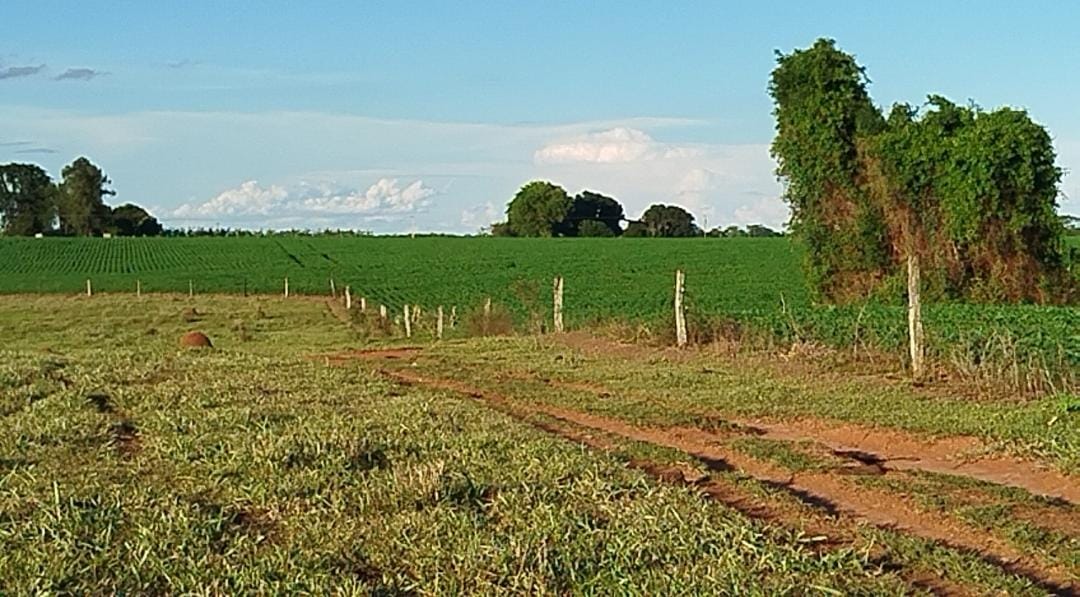 Imagem Chácara com 2 Quartos à Venda, 75.000 m² em CENTRO - Douradina