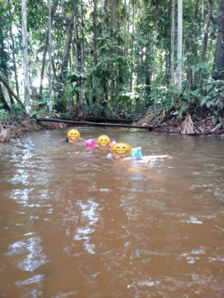Imagem Chácara à Venda, 34.000 m² em Aparecida - Manacapuru