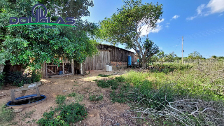 Imagem Chácara com 2 Quartos à Venda, 80 m² em Águas Claras - Viamão