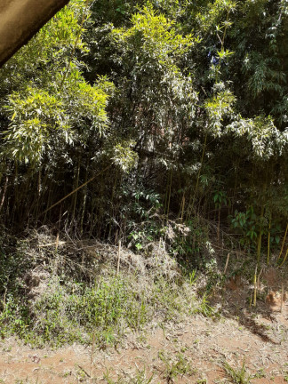 Imagem Imóvel Comercial à Venda, 100 m² em Pimenteiras - Teresópolis
