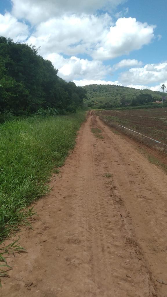 Imagem Fazenda à Venda, 6 Alq. SP em Valadão - Piedade Imagem Fazenda à Venda, 6 Alq. SP em Valadão - Piedade