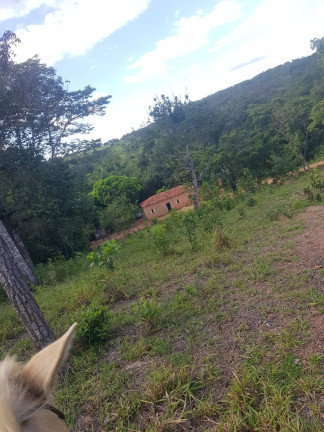 Imagem Fazenda à Venda, em Área Rural - Padre Bernardo Imagem Fazenda à Venda, em Área Rural - Padre Bernardo