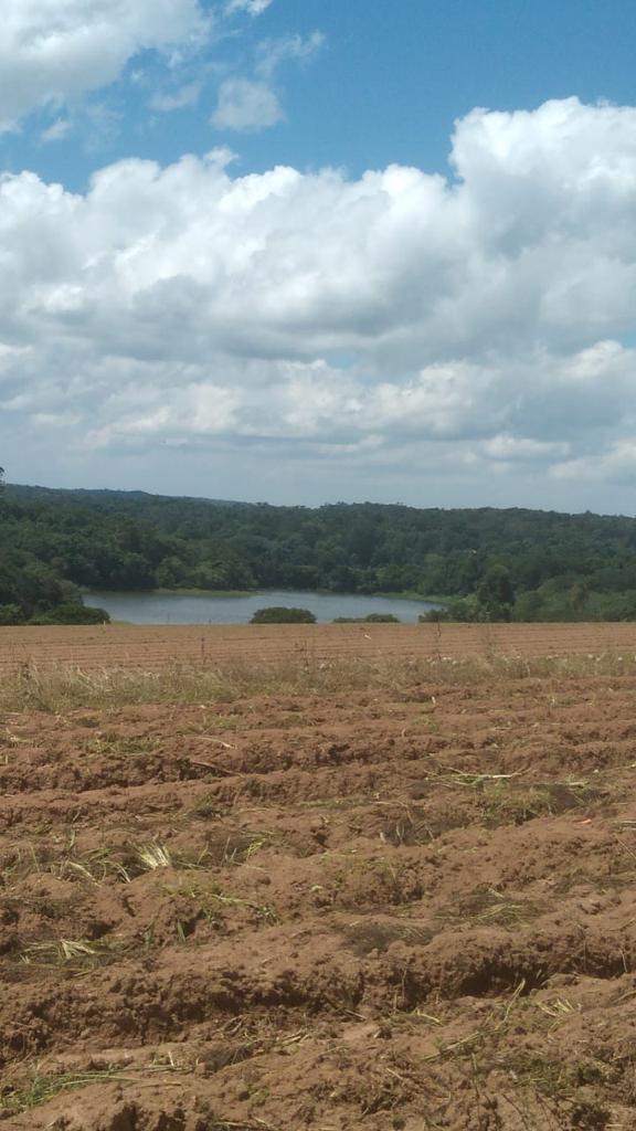 Imagem Fazenda à Venda, 6 Alq. SP em Valadão - Piedade Imagem Fazenda à Venda, 6 Alq. SP em Valadão - Piedade
