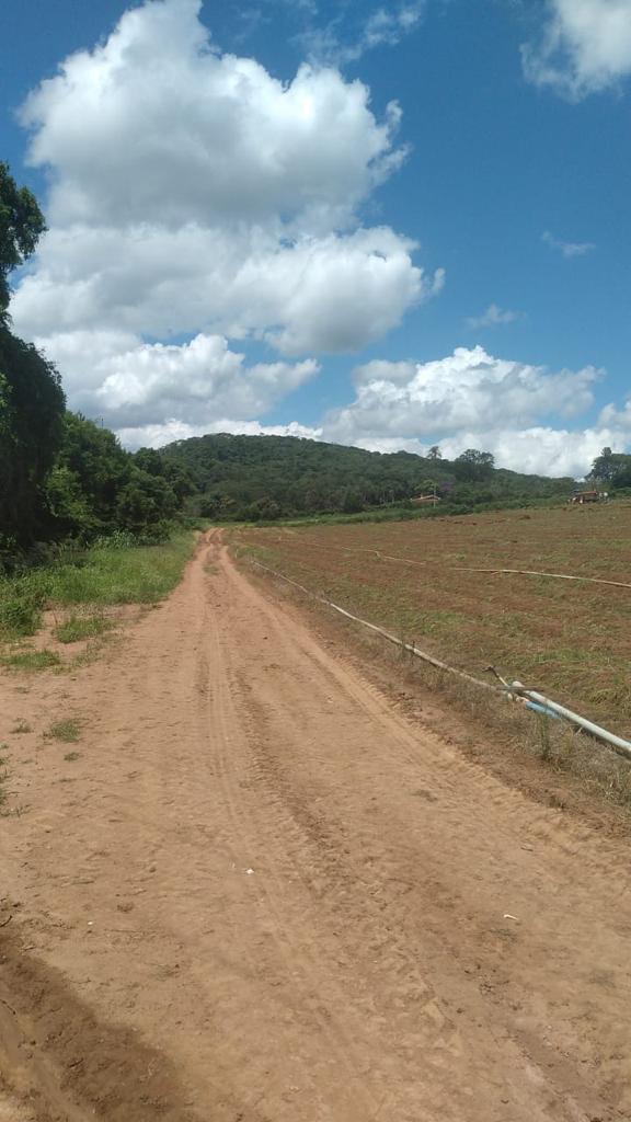 Imagem Fazenda à Venda, 6 Alq. SP em Valadão - Piedade Imagem Fazenda à Venda, 6 Alq. SP em Valadão - Piedade