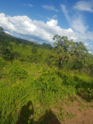 Imagem Fazenda à Venda, em Área Rural - Padre Bernardo Imagem Fazenda à Venda, em Área Rural - Padre Bernardo