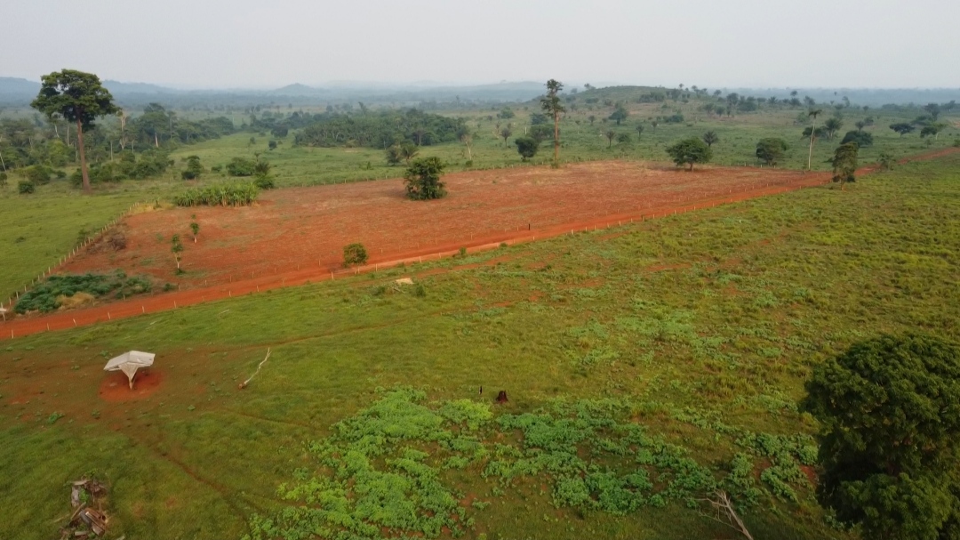 Imagem Fazenda à Venda, 1 m²em Centro  - São Félix do Xingu