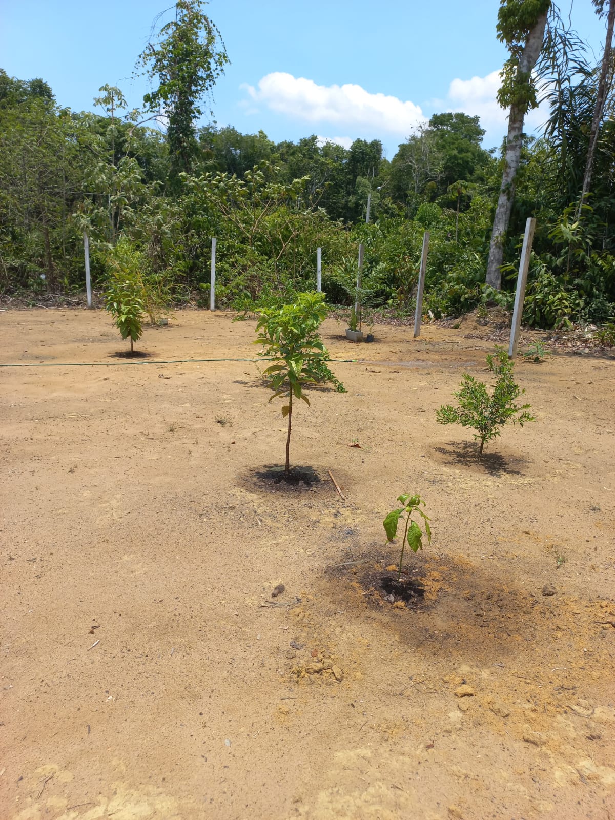 Imagem Terreno à Venda, 1 m²em Zona Rural - Iranduba