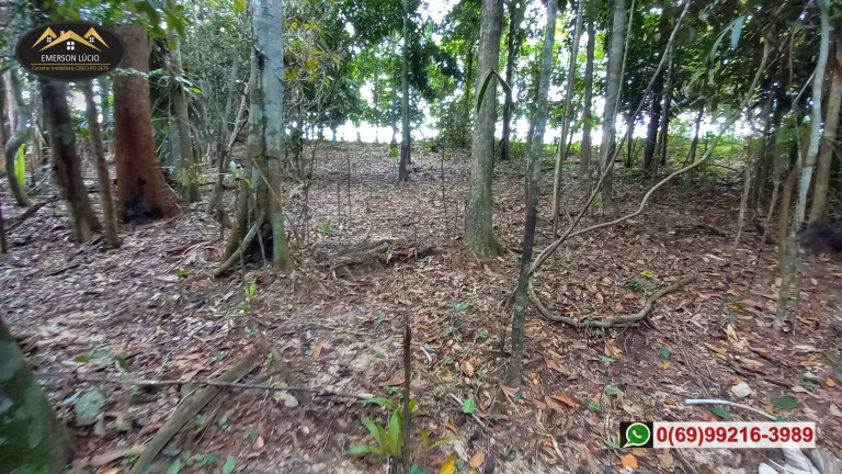 Imagem Fazenda à Venda, em Zona Rural - Candeias do Jamari Imagem Fazenda à Venda, em Zona Rural - Candeias do Jamari