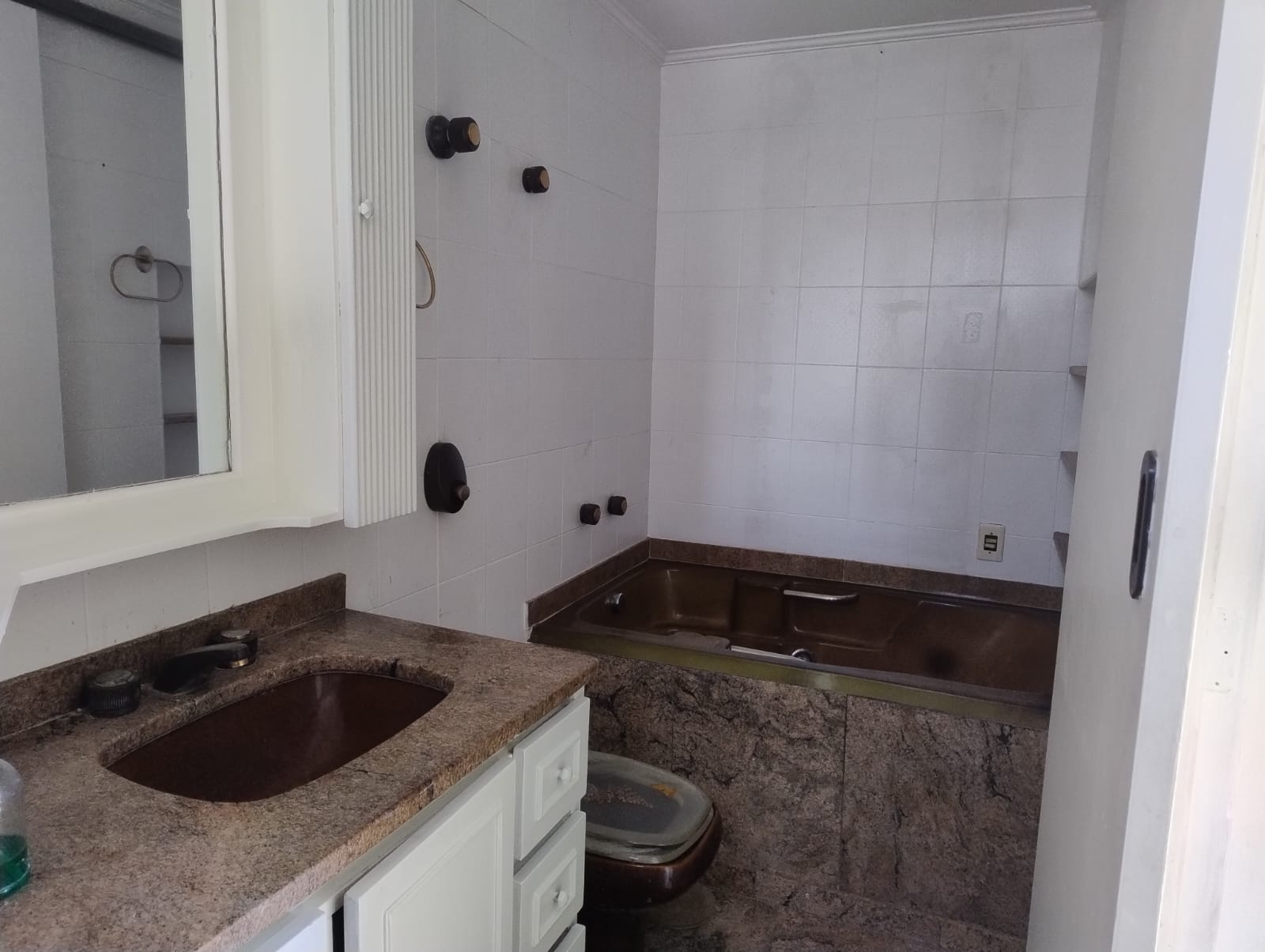 Imagem Apartamento com 3 Quartos à Venda, 110 m² em Vila Prudente - São Paulo
