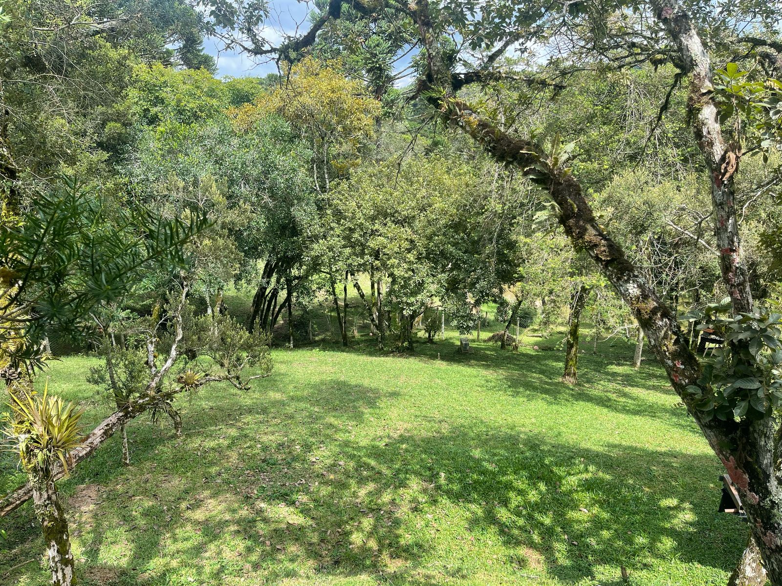 Imagem Chácara com 3 Quartos à Venda, 6.800 m² em Salgadinho - Campo Largo