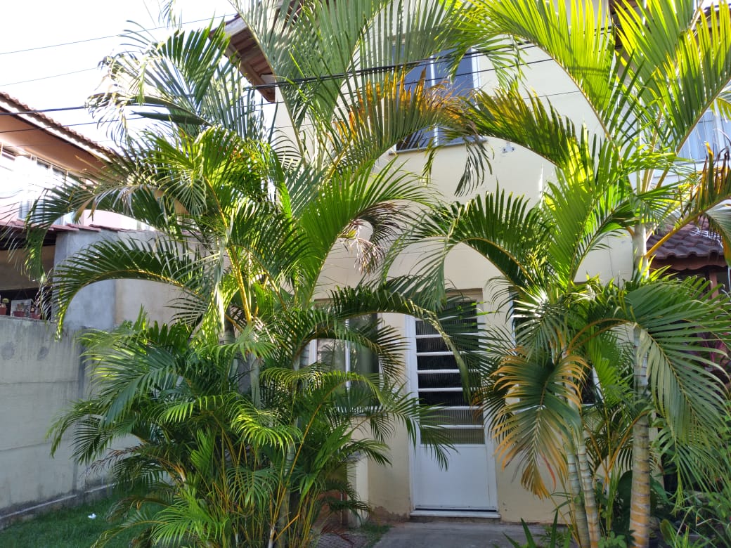 Imagem Casa com 2 Quartos para Alugar, 57 m²em Campo Alegre - Nova Iguaçu