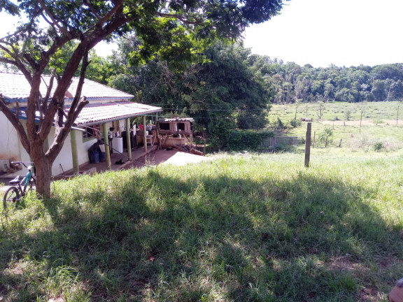 Imagem Chácara à Venda, 25.000 m²em Vila Favorino - Caçapava