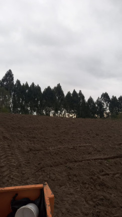 Imagem Chácara à Venda, 31.460 m² em LEÃO - Agudos do Sul