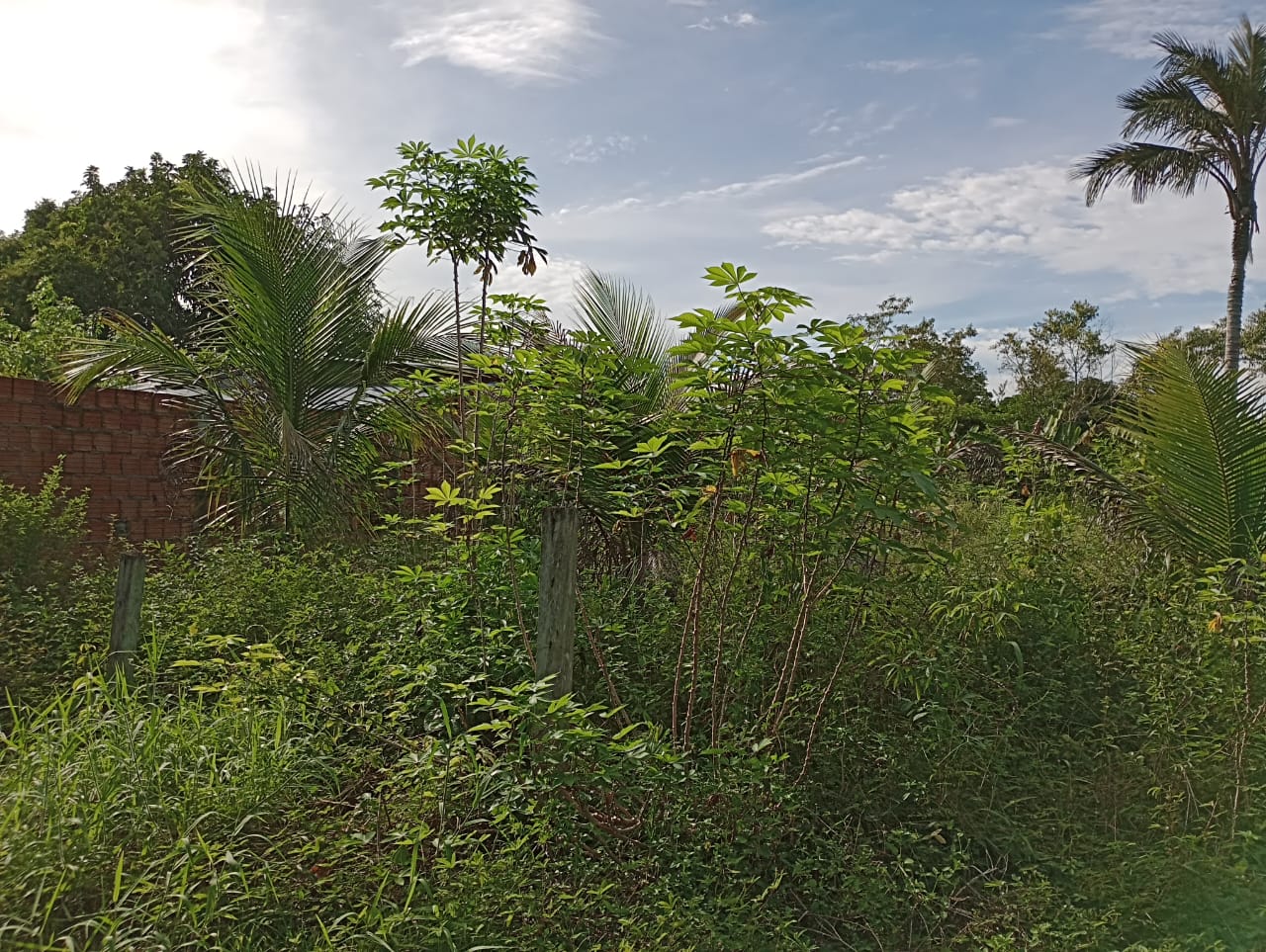 Imagem Terreno à Venda, 2 m²em Centro - Rio Preto da Eva Imagem Terreno à Venda, 2 m²em Centro - Rio Preto da Eva