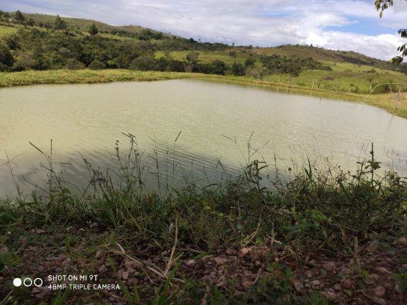 Imagem Fazenda à Venda, 400.000m² em Girassol - Cocalzinho de Goiás Imagem Fazenda à Venda, 400.000m² em Girassol - Cocalzinho de Goiás