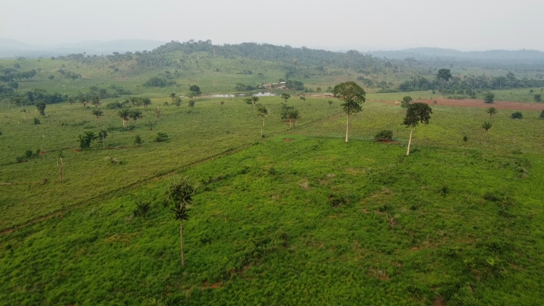 Imagem Fazenda à Venda, 1 m²em Centro  - São Félix do Xingu