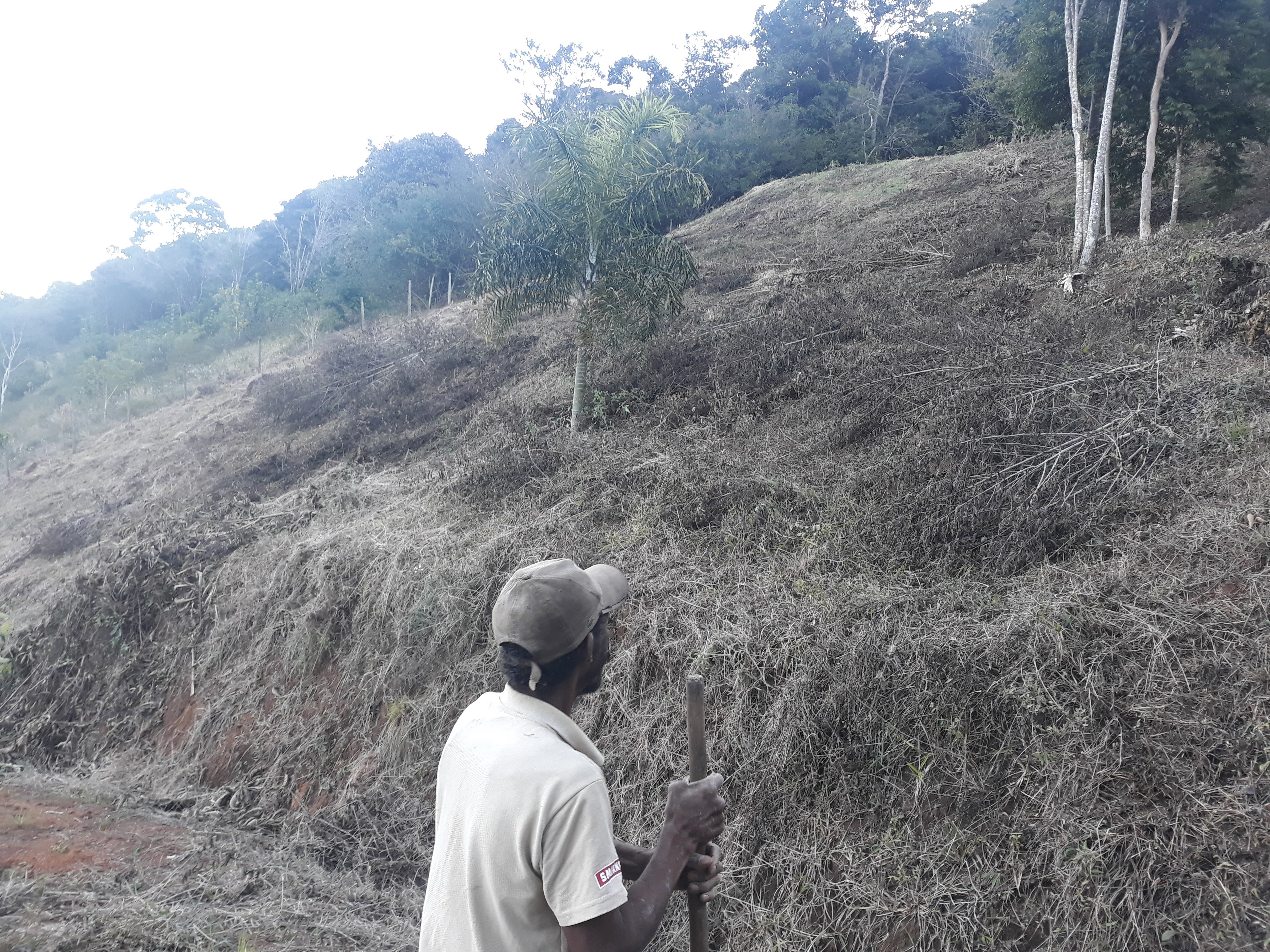 Imagem Terreno à Venda, em Humaitá - Juiz de Fora Imagem Terreno à Venda, em Humaitá - Juiz de Fora