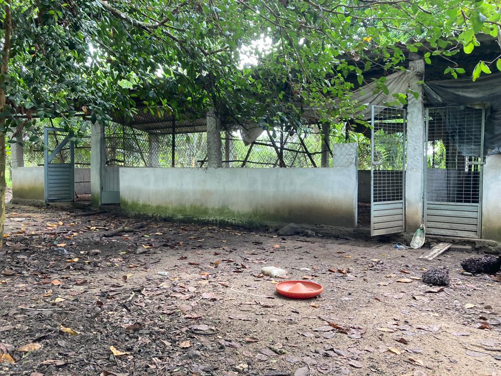 Imagem Imóvel com 5 Quartos à Venda, 400 m²em Murutuba - Cachoeira