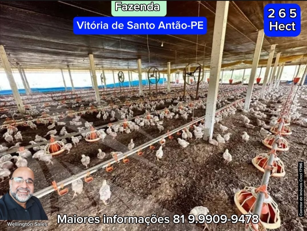 Imagem Imóvel com 4 Quartos à Venda, 265 m²em Área Rural de Vitória do Santo Antão - Vitória de Santo Antão Imagem Imóvel com 4 Quartos à Venda, 265 m²em Área Rural de Vitória do Santo Antão - Vitória de Santo Antão