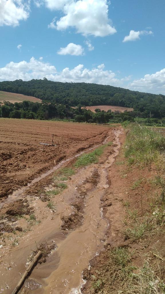 Imagem Fazenda à Venda, 6 Alq. SP em Valadão - Piedade Imagem Fazenda à Venda, 6 Alq. SP em Valadão - Piedade