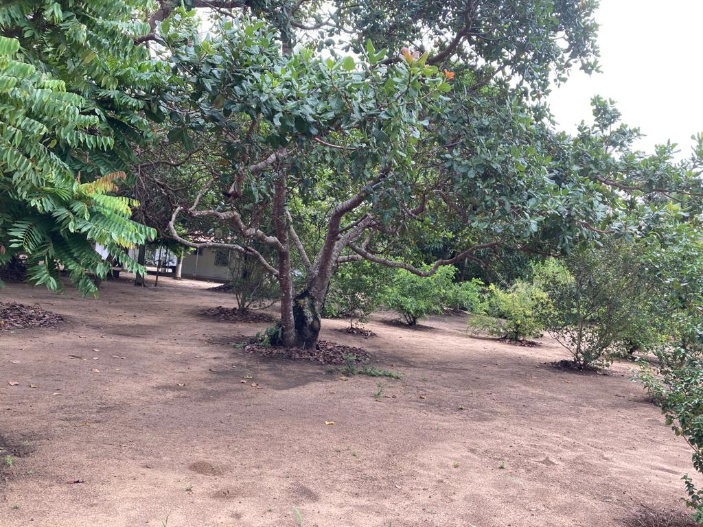 Imagem Imóvel com 5 Quartos à Venda, 400 m²em Murutuba - Cachoeira