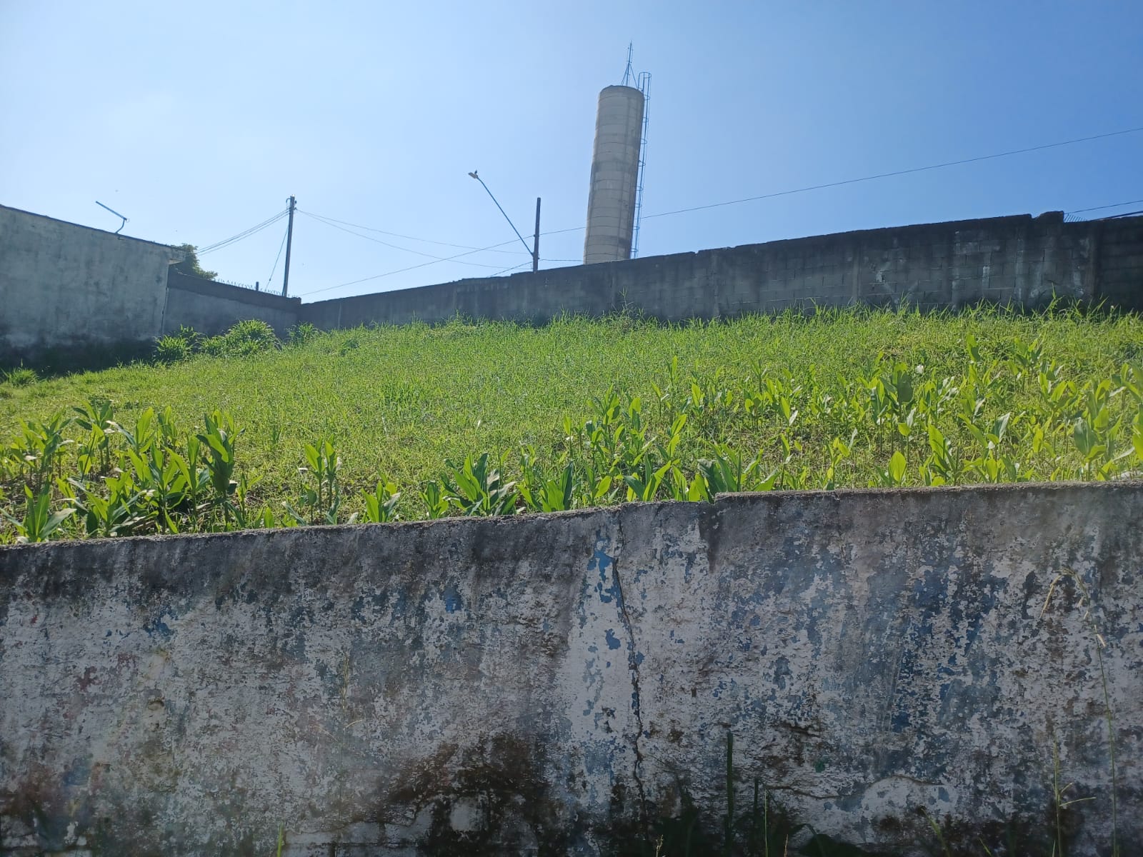 Imagem Terreno à Venda, 416 m² em Vila Figueiredo - Rio Grande da Serra