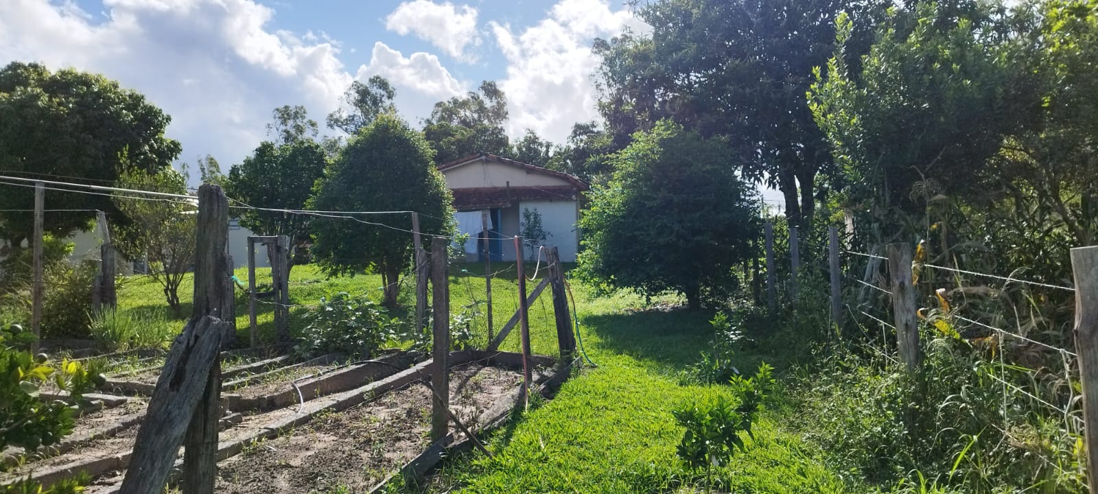 Imagem Chácara com 4 Quartos à Venda, 440 m² em - Sarapuí Imagem Chácara com 4 Quartos à Venda, 440 m² em - Sarapuí