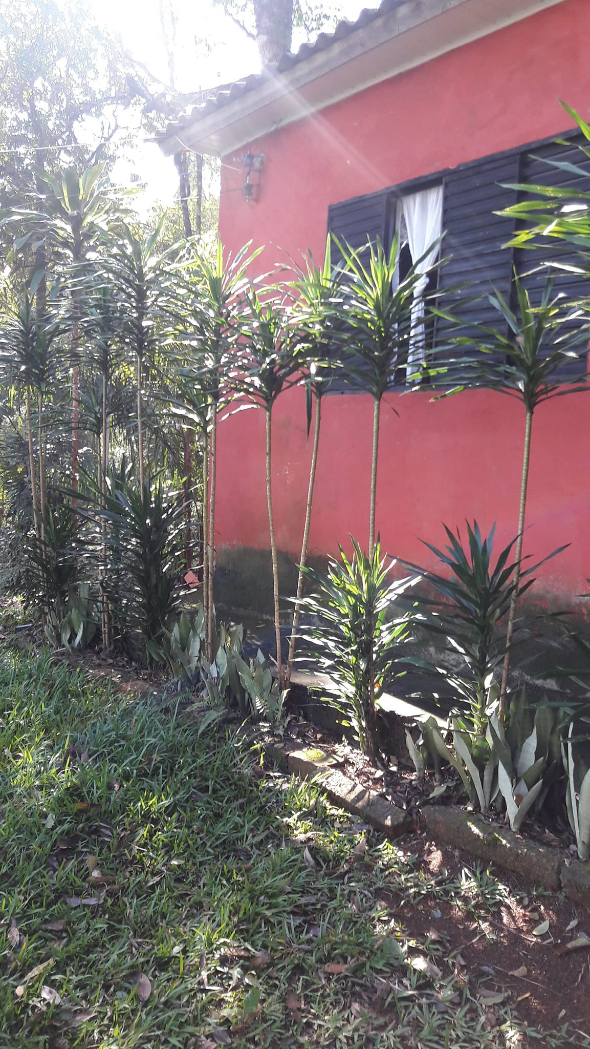 Imagem Terreno à Venda, 3.200 m²em Efapi - Chapecó